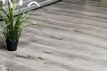 Клеевая кварцвиниловая плитка Alpine Floor Ультра (Ultra) ДУБ ДЫМЧАТЫЙ ECO 5-24